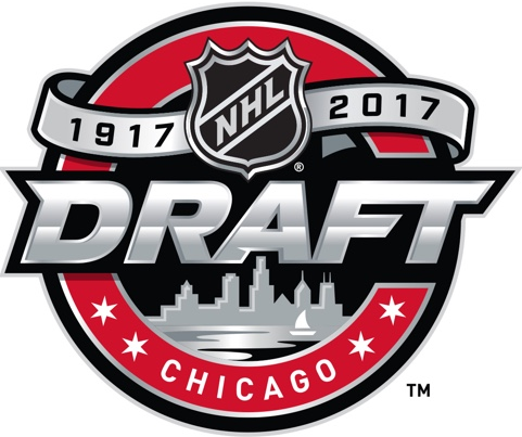NHL Draft 2017 Primary Logo iron on transfers for T-shirts